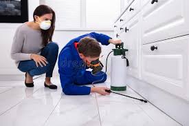 Best Emergency Pest Control  in Monroe, MI